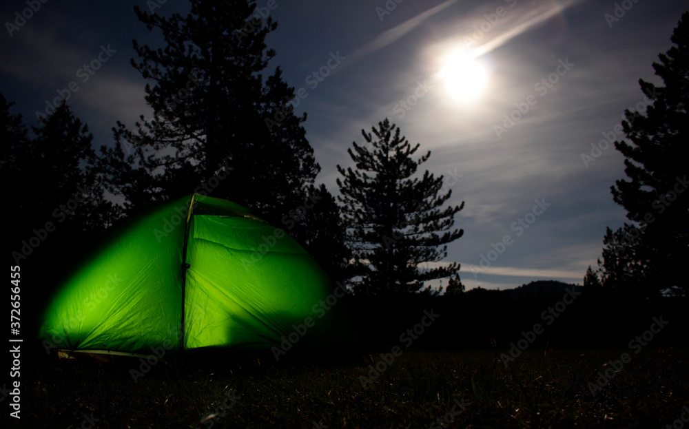 Camping tent in the forest.