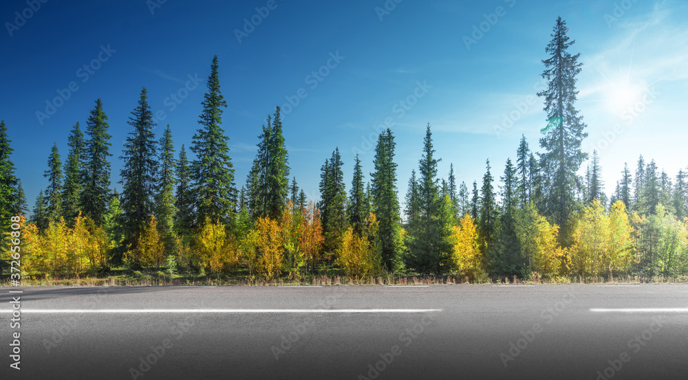 Road in autumn forest, Sweden Road in autumn forest, Sweden
