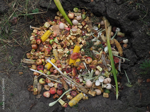 pit for garbage from organic products