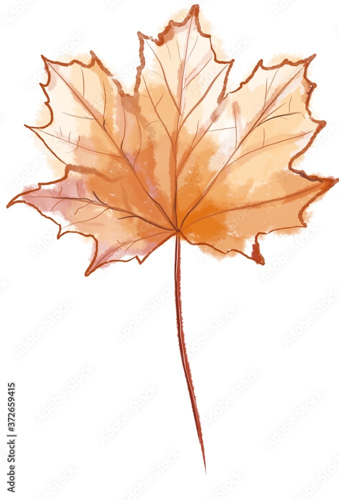 yellow autumn leaf on white background yellow autumn leaf on white background
