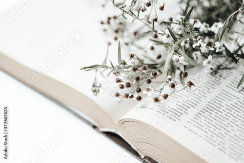 Open old book with field flowers on it. Photo