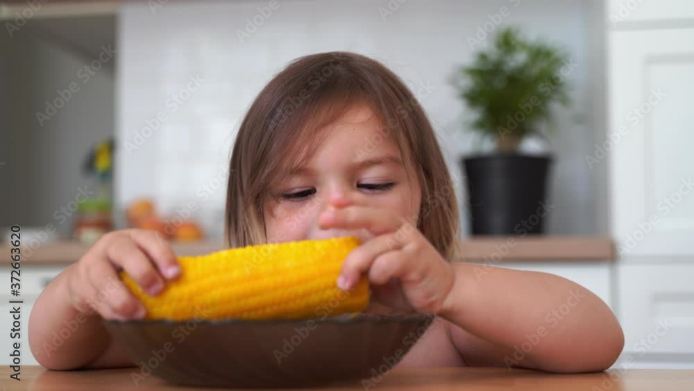 Toddler girl eating boiled corn maize. Home lifestyle lunch time. Toddler girl eating boiled corn maize. Home lifestyle lunch time.