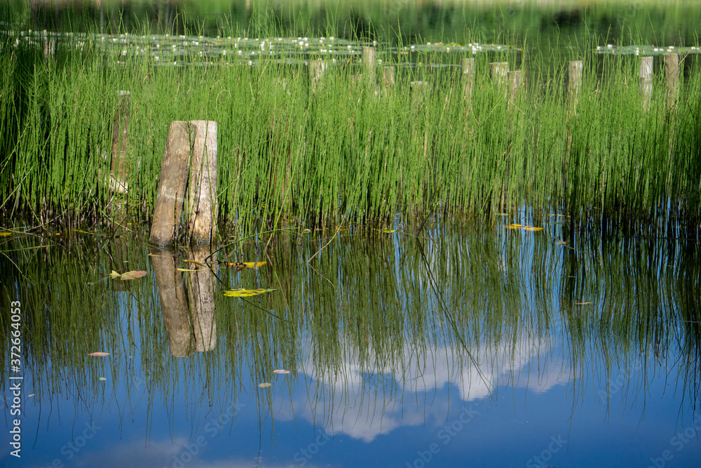 Obraz premium reflection of clouds in the lonely and quiet lake in Latvia