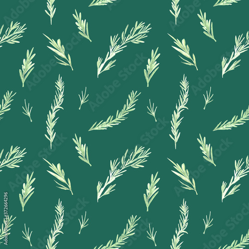 Rosemary pattern. Watercolor hand drawn illustration, isolated on emerald background