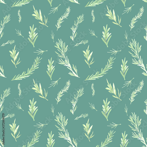 Fototapeta Naklejka Na Ścianę i Meble -  Rosemary pattern. Watercolor hand drawn illustration, isolated on emerald background