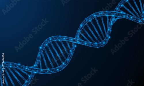 The helix of the DNA cell. Low-poly cellular structure of the genome of a living organism. Frame design of connected lines and points. Blue background.