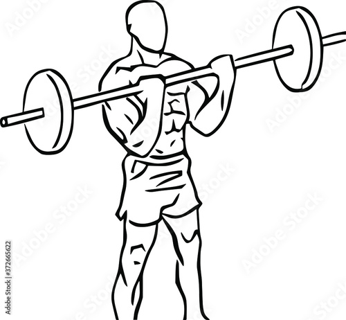 Biceps curl bodybuilding powerlifting training