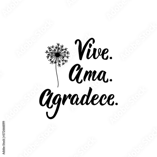 Lives, loves, thanks - in Spanish. Lettering. Ink illustration. Modern brush calligraphy.