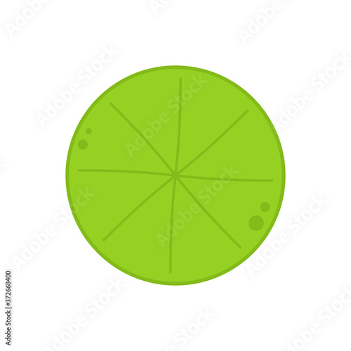 Lily pad. Lotus leaf vector. Lotus leaf logo design.