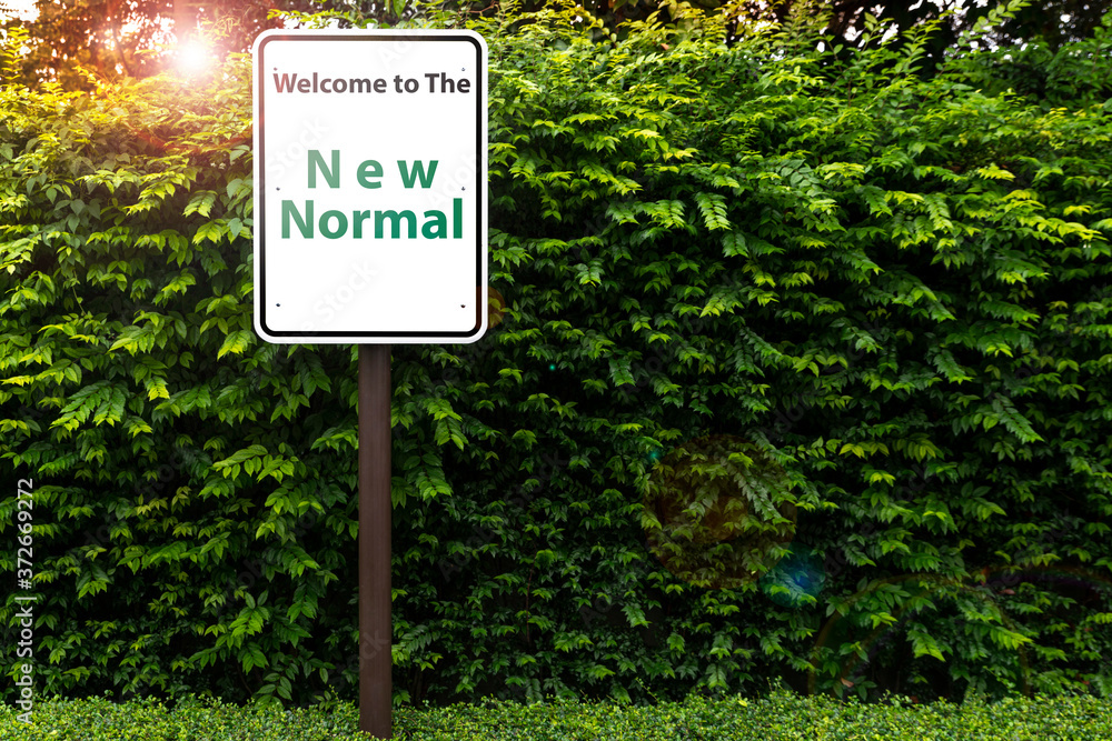 Signage with message “ Welcome to the New Normal” on green trees Background. Corona virus outbreak, Social distancing or new normal concepts. Copy text and wording Space.
