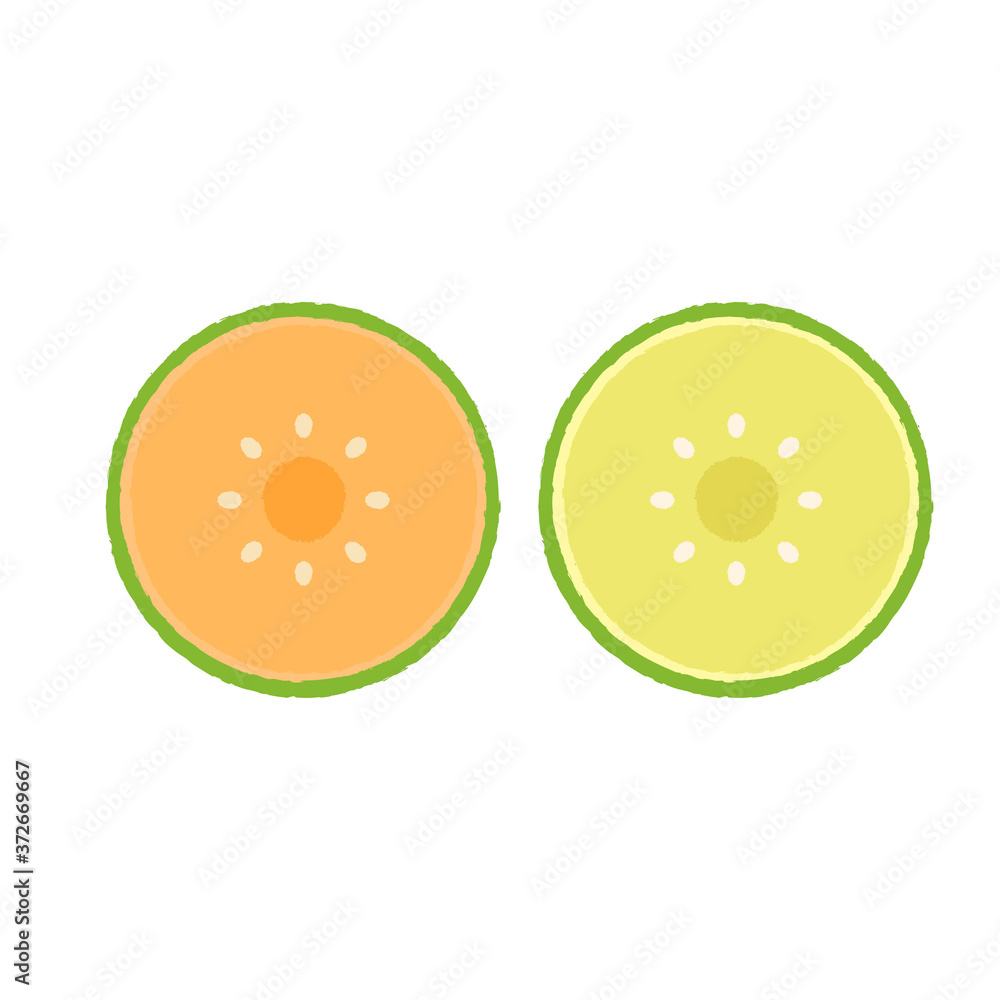 Melon vector. wallpaper. Melon logo. sign. symbol. Melon vector. wallpaper. Melon logo. sign. symbol.
