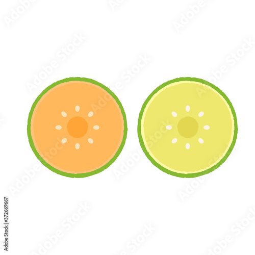 Melon vector. wallpaper. Melon logo. sign. symbol.