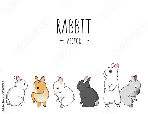 Cute little rabbits in cartoon style on white background. Adorable baby bunny vector illustration