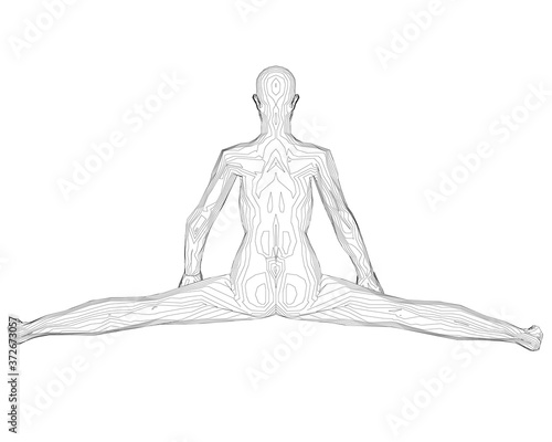 The contour of a girl sitting on a twine. Back view. 3D. Vector illustration