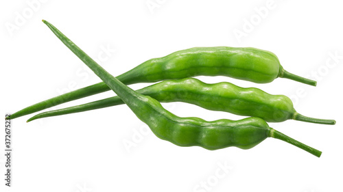 Foto Radish pods (Raphanus sativus silique) isolated on  white