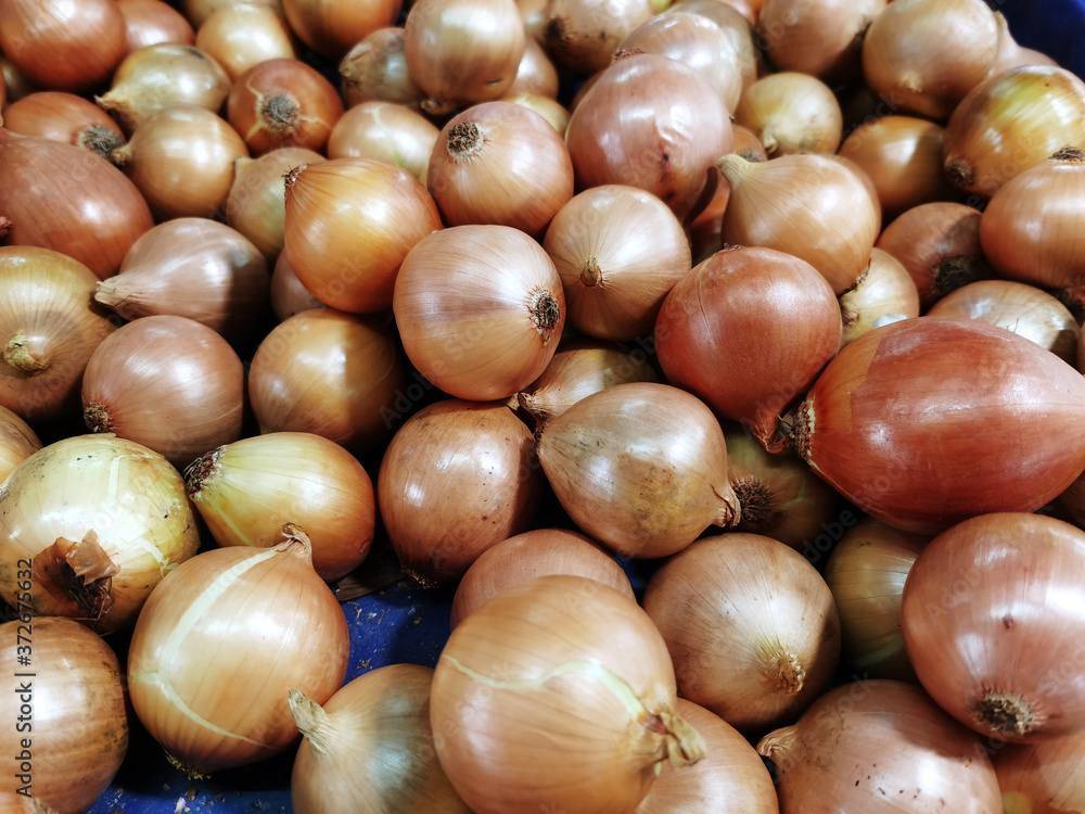 Pile of freshly harvested organic sweet red onions in different sizes, selective focus Pile of freshly harvested organic sweet red onions in different sizes, selective focus