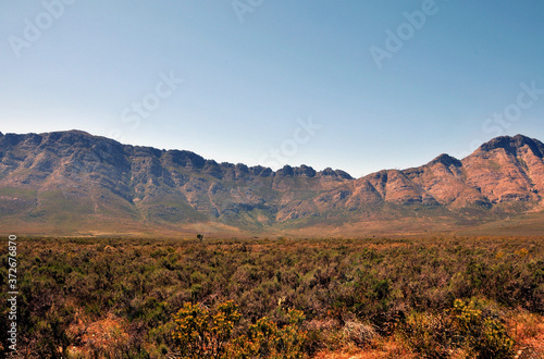  Fynbos is a belt of natural shrubland or heathland vegetation comprising of 8 500 species located in the Western Cape and Eastern Cape provinces of South Africa