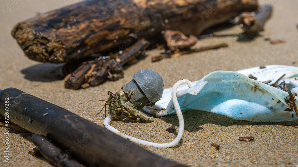 Fotografie Waste COVID19. Hermit crab carry a tube plastic near face mask