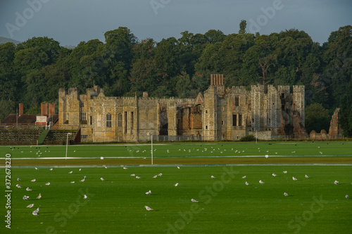 August walk around Cowdray Park, West Sussex, England, UK photo