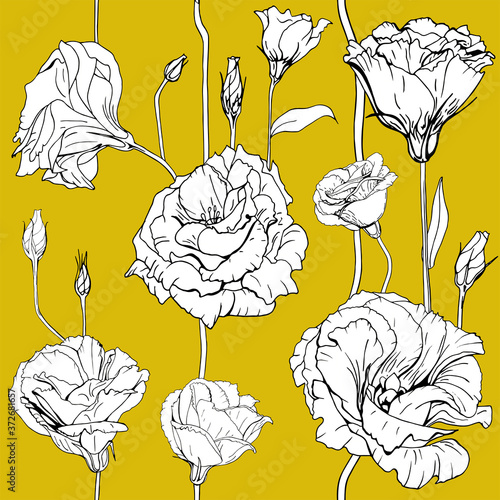 Seamless floral decorative pattern with white flowers and buds on a yellow background. Eustoma, Lisiantus, Prairie tulip gentian. Endless spring texture for your design, fabrics, decor, print.