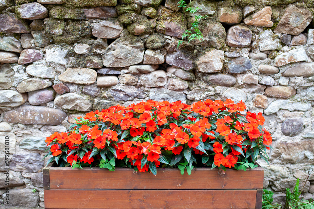 Flores rojas en macetero de madera junto a pared de piedra