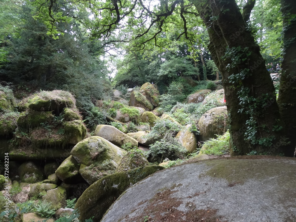 Forêt de Huelgoat, Chaos granitique, Huelgoat, Finistère, Bretagne, France Forêt de Huelgoat, Chaos granitique, Huelgoat, Finistère, Bretagne, France