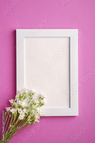 White empty photo frame mockup with mouse-ear chickweed flowers on pink purple background, top view copy space