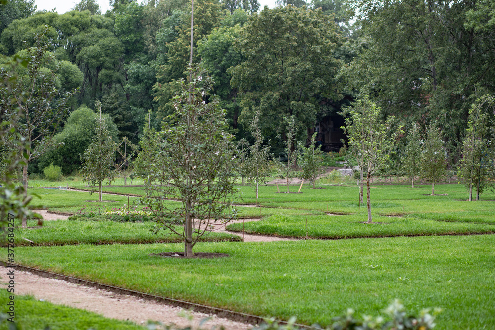 Young fruit trees in the topiary garden