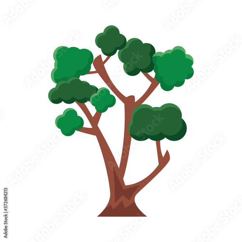 branched tree flat style icon