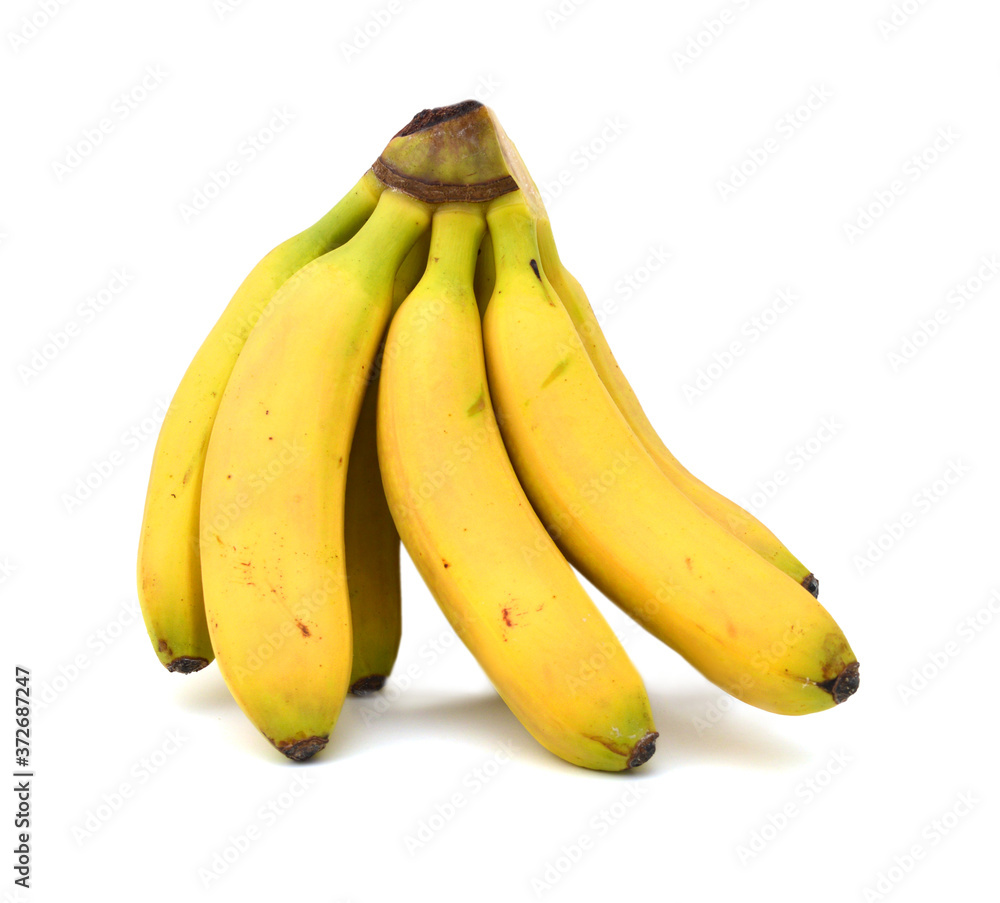 fresh bunch of mini bananas on a white background