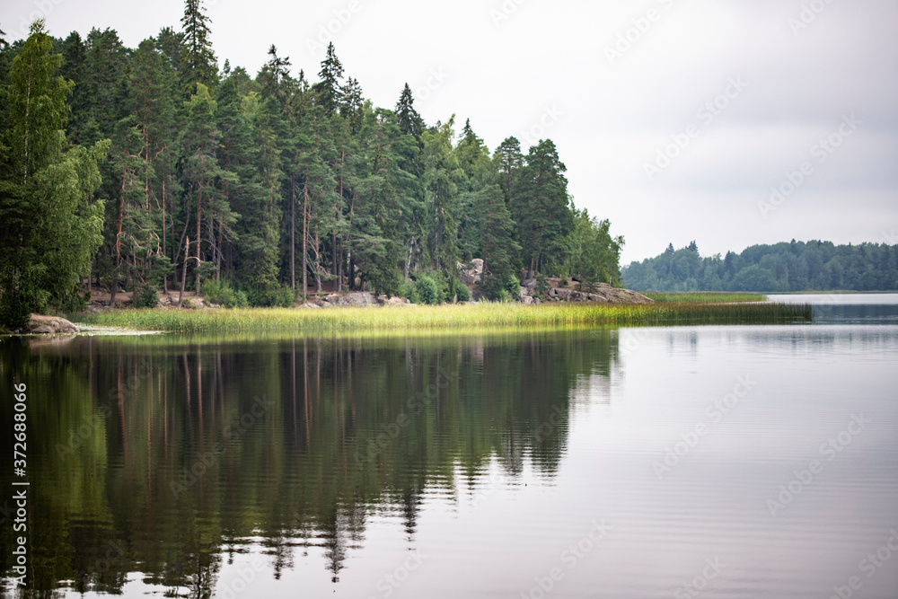Landscape with trees reflected in the water of the lake