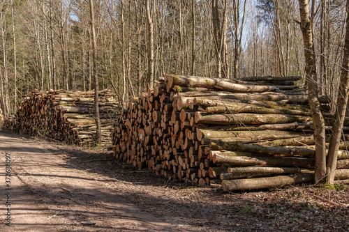 Zwei grosse Haufen mit aufgestapelten Baumstämmen / Holz am Rand von einem Waldweg (Holzwirtschaft / Forstwirtschaft)