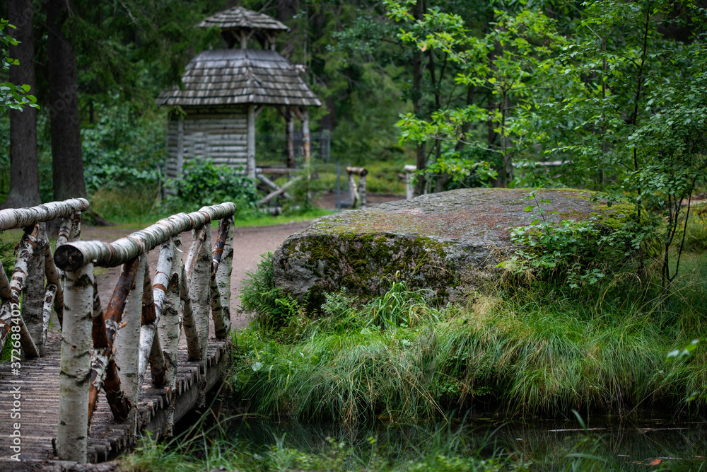 Naklejka premium White birch bridge on the bank of a dark pond