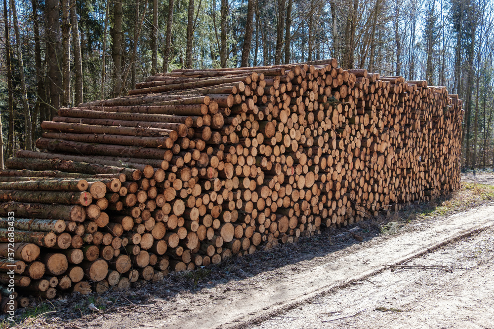 Holzwirtschaft / Forstwirtschaft: Ein sehr großer Haufen gestapelter Baumstämme an einem Waldweg