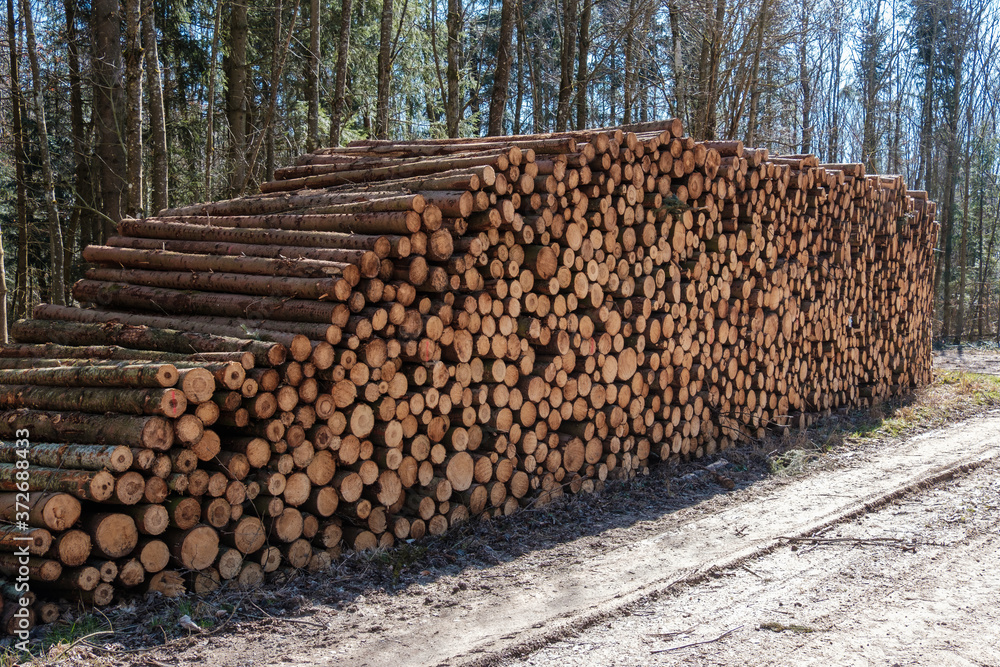 Holzwirtschaft / Forstwirtschaft: Ein sehr großer Haufen gestapelter Baumstämme an einem Waldweg Holzwirtschaft / Forstwirtschaft: Ein sehr großer Haufen gestapelter Baumstämme an einem Waldweg