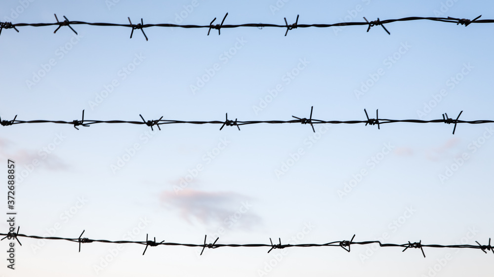Barbed wire against a blue sky closeup. Fence or fencing in a closed area. Barbed wire against a blue sky closeup. Fence or fencing in a closed area.