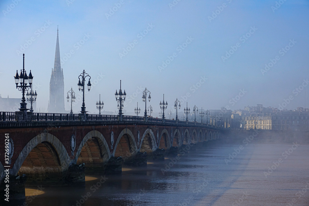 Fototapeta premium Beautiful Bordeaux