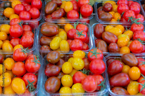 red and yellow tomatoes