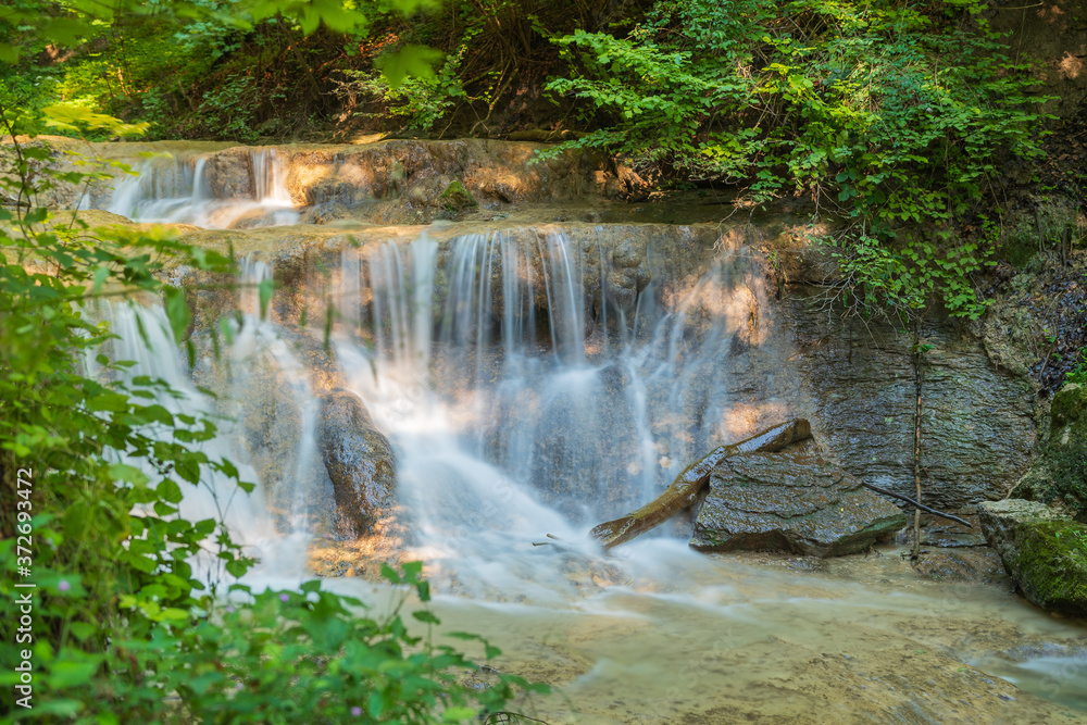 Obraz premium Idylle im Wald in der Natur mit Wasser