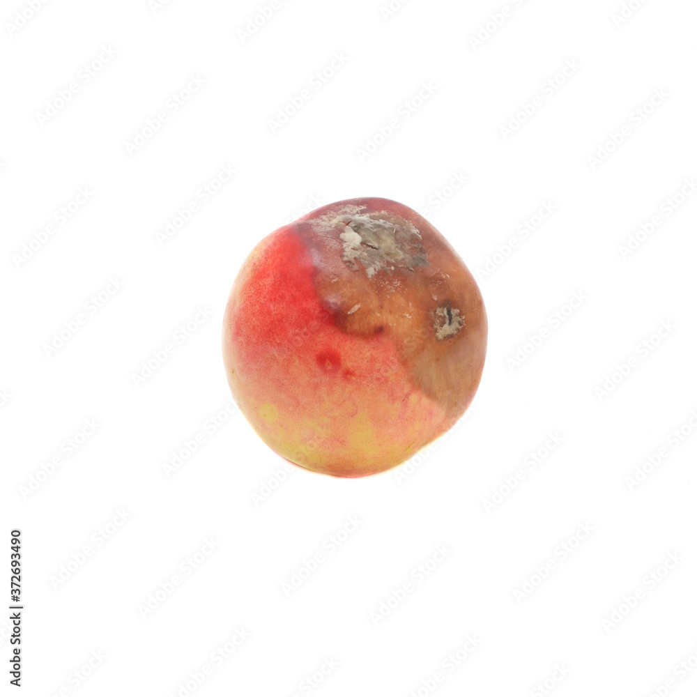 Fototapeta premium Moldy peach isolated on white background.Ugly spoiled fruit