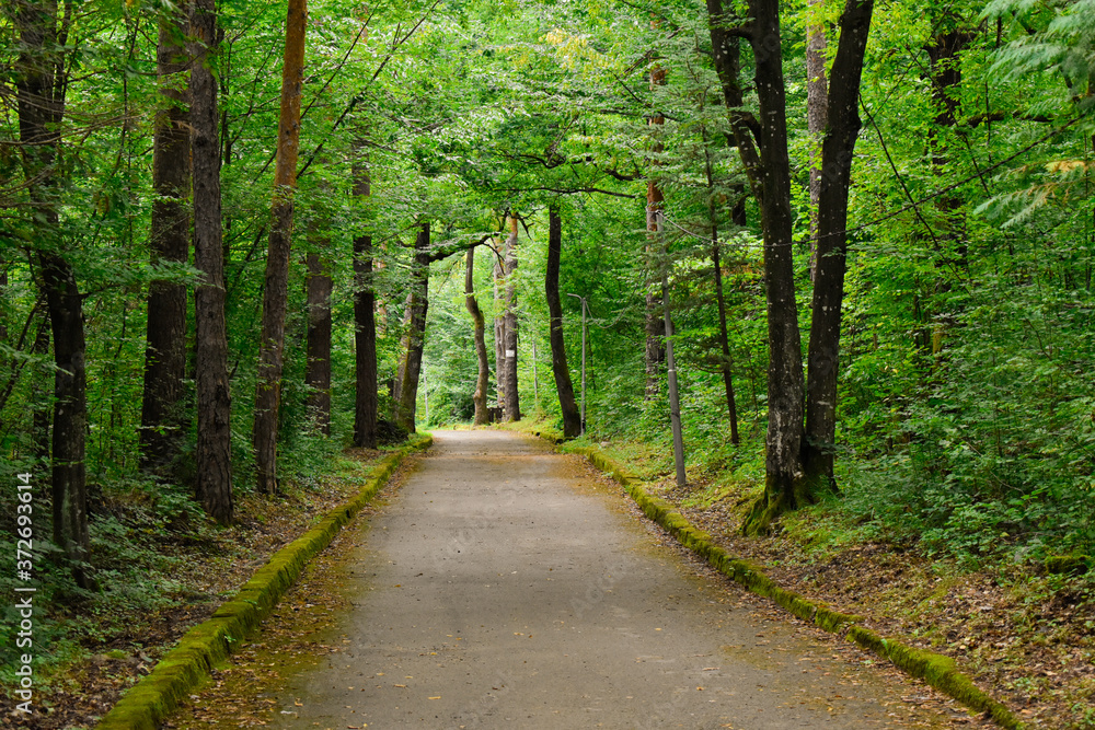 Fototapeta premium A day in the park