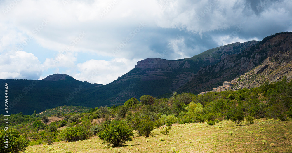 Obraz premium Mountain landscape panorama. Picturesque area. Trees at the foot of the mountains. Copy space for text.