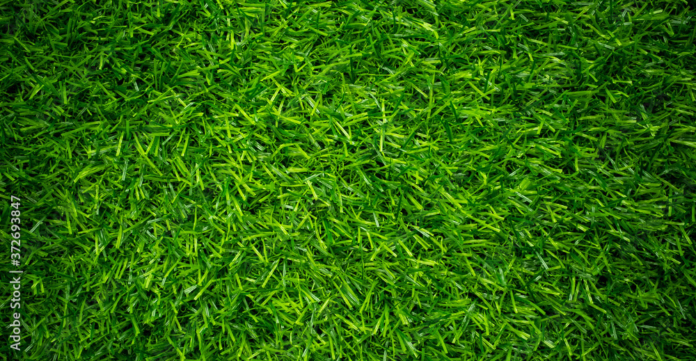 Green grass background, football field
Green grass background, football field