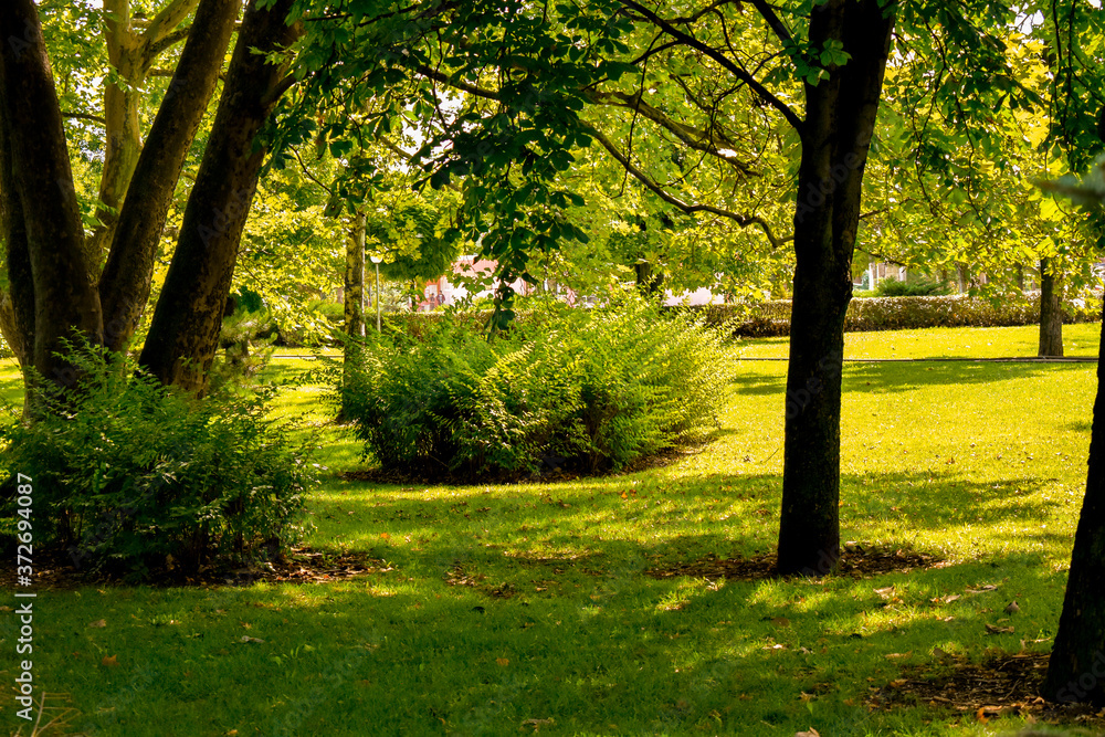 A day in the park