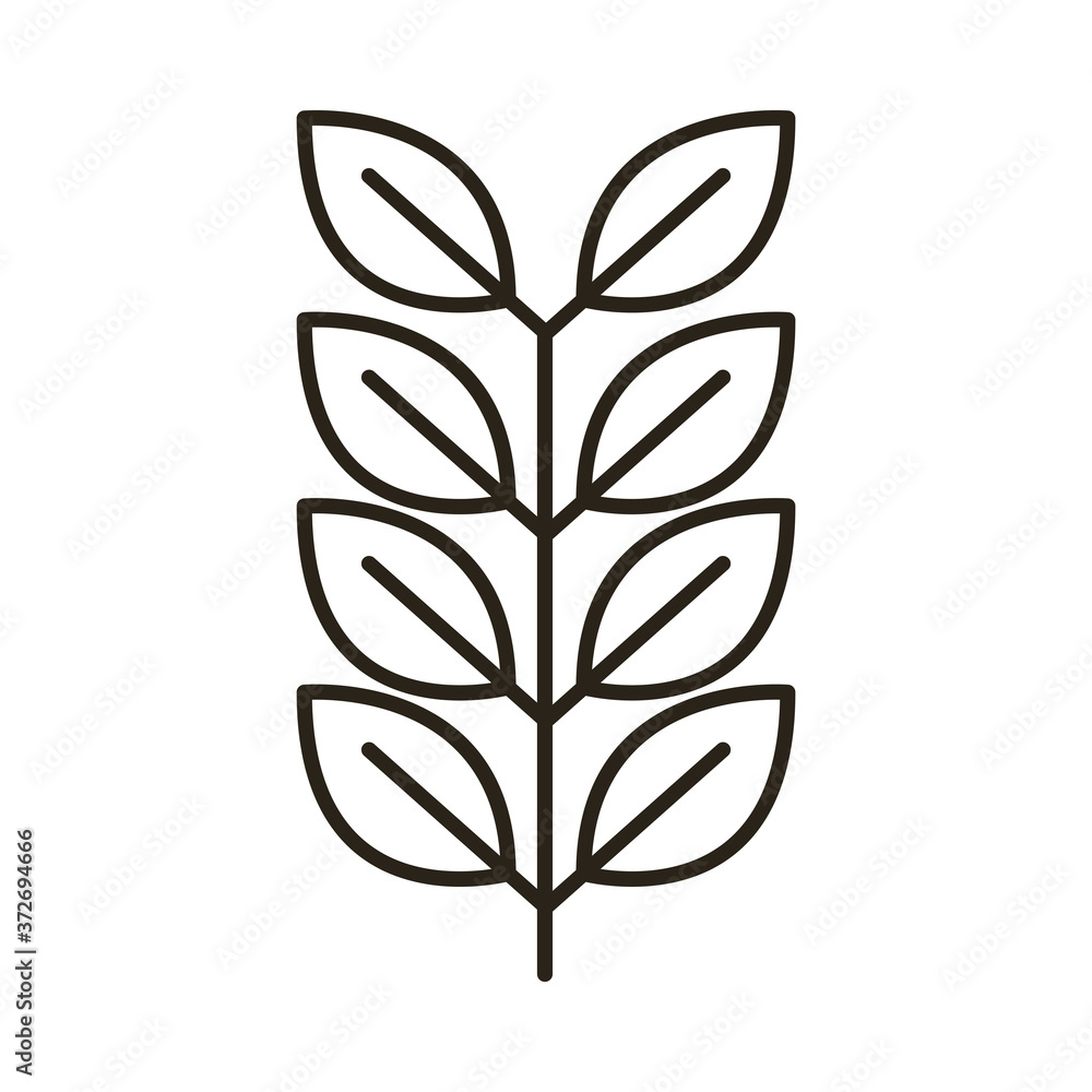 barley branch oktoberfest line style icon barley branch oktoberfest line style icon