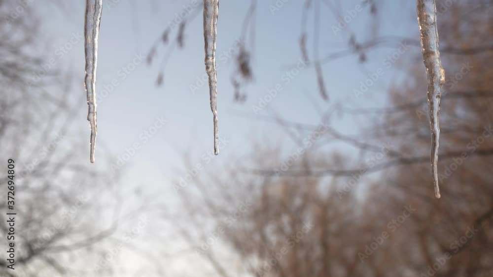 Male hand knocks icicles from edge roof. Male hand knocks icicles from edge roof.