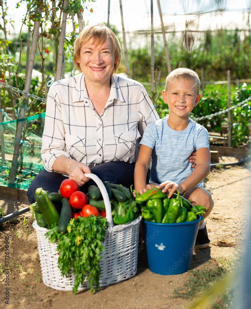 Fototapeta premium Portrait of elderly female gardener with preschool boy posing with freshly harvested greens and vegetables in homestead