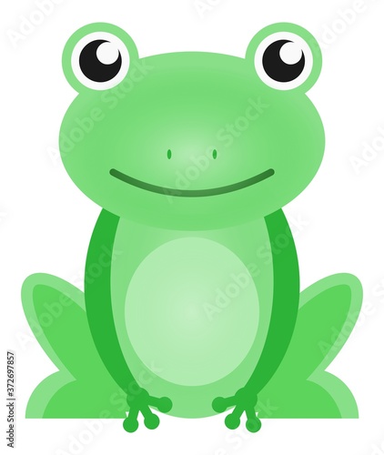 Frog cartoon cute green toad vector illustration