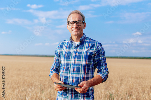 Fototapeta Portrait of farmer standing in a wheat field with a tablet looking at the camera