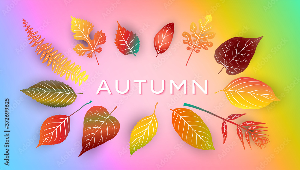 Autumn background with bright autumn leaves. Vector illustration